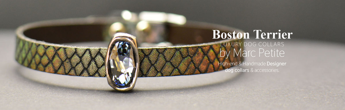 Boston Terrier Collars Shop Online Marc Petite