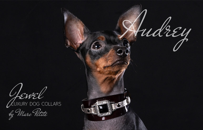 Anais - luxury, royal style, dog collar - by Marc Petite