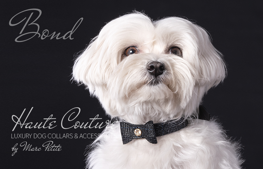 Luxury Pet Bow Tie 