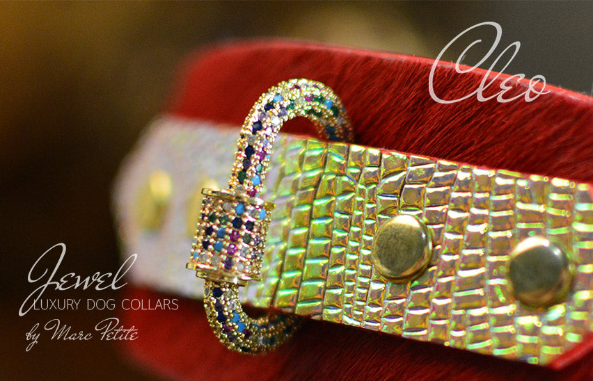 Cleo - Jewelled Dog Collar in Red Leather & Gold Panther – Marc Petite