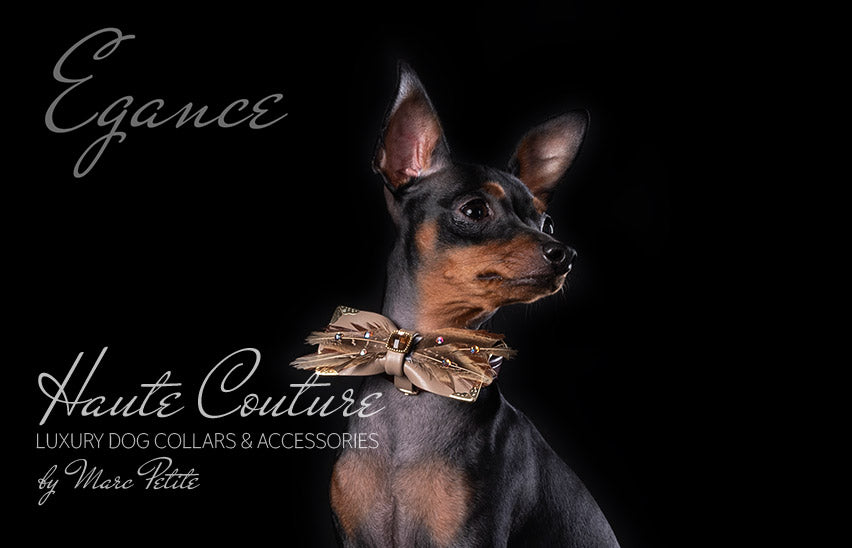 Luxury Pet Bow Tie 