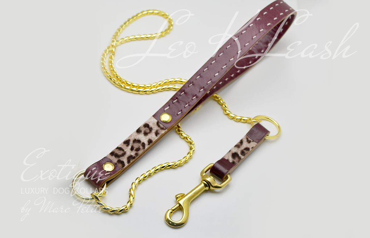 Dog leash clearance luxury