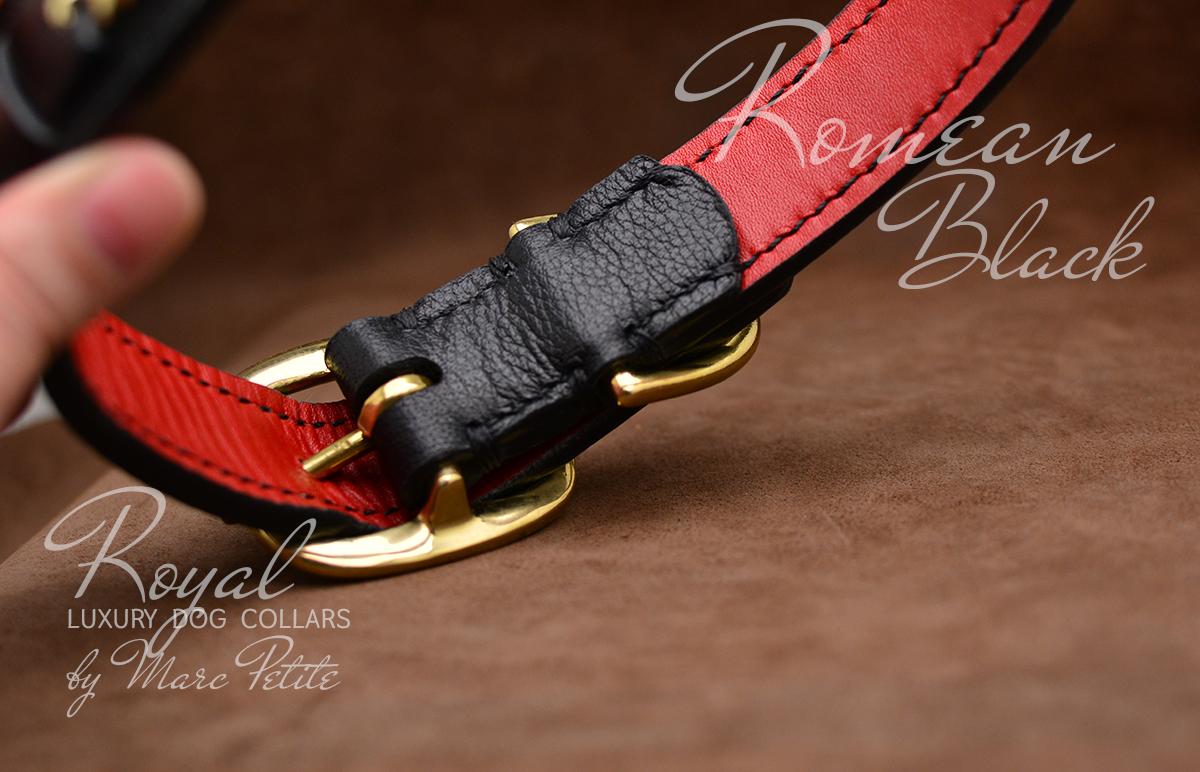 Louis Vuitton dog leather collar leash set  Leather collar, Leather leash,  Designer dog collars